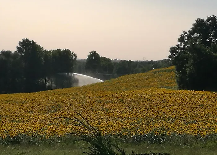 Panzió La Gourmande, En Richard Auriac-sur-Vendinelle