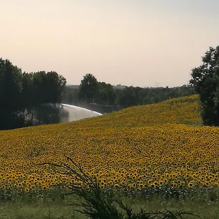B&B La Gourmande, En Richard Auriac-sur-Vendinelle